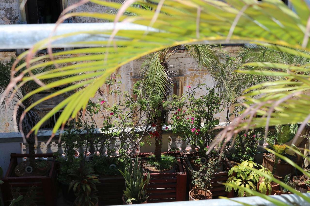 Casa Zenia Siglo V Havana Otel Dış mekan fotoğraf