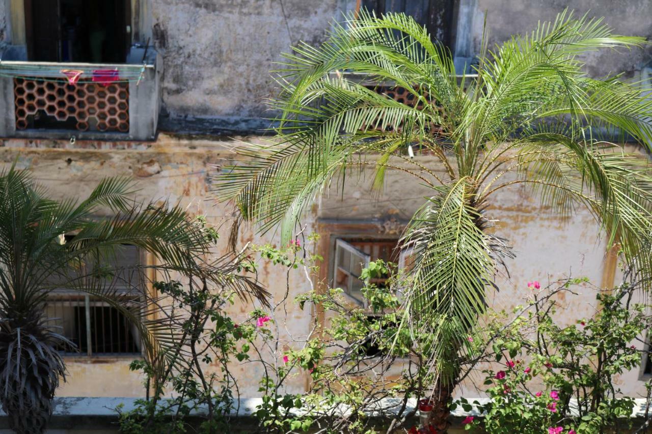 Casa Zenia Siglo V Havana Otel Dış mekan fotoğraf