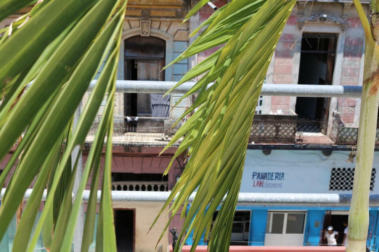 Casa Zenia Siglo V Havana Otel Dış mekan fotoğraf